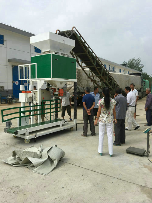 �����ԄӶ�����